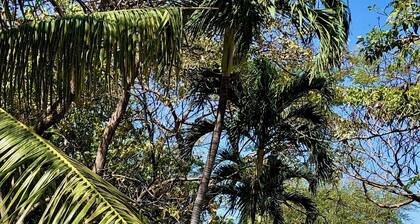 Spacious 4-bedroom Beachfront Home in Playas del Coco