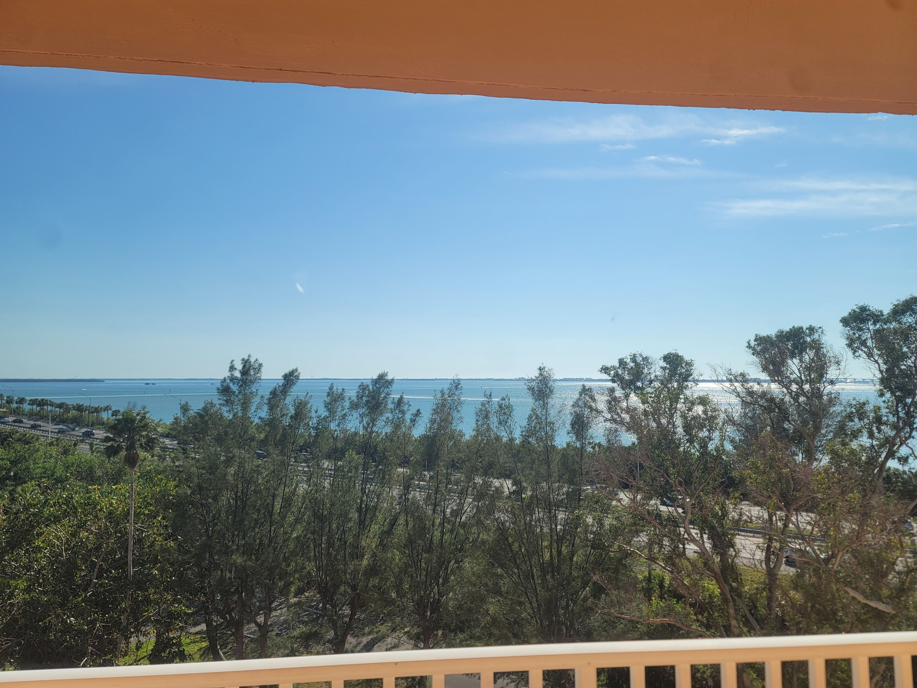 A view of a coastal area with trees and a clear sky.