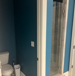 Shower, towels, toilet paper