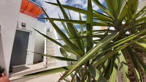 Unclassified image, 5 of 70, button - Limoncello: typical house, top location, renovated, stylish, barbecue, terrace (Olhão)