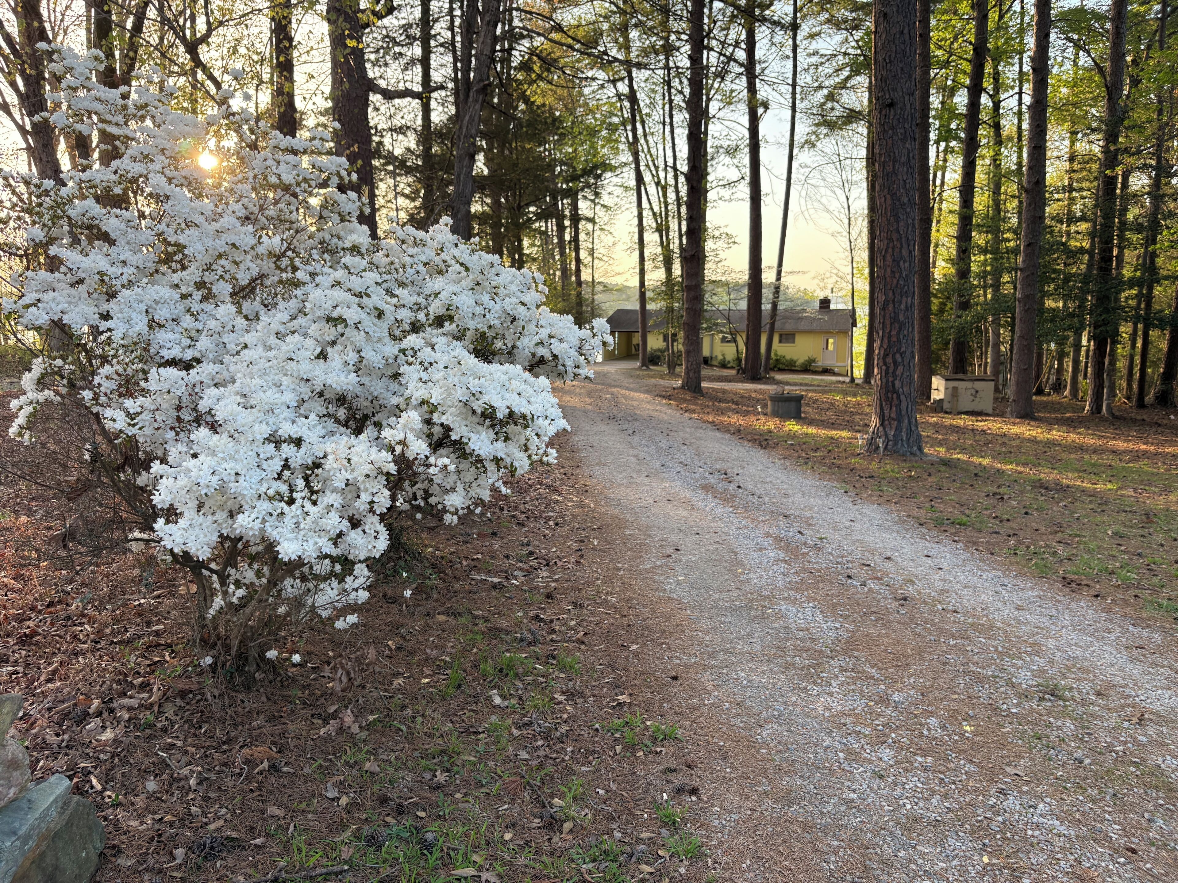 Driveway from road