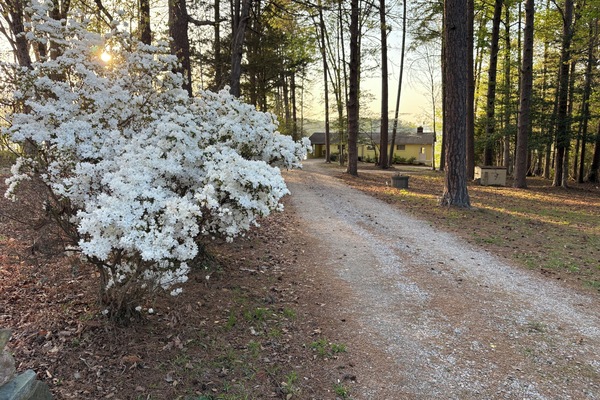 Driveway from road