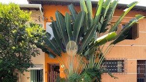A building with a large plant in front, a gated entrance, and a paved sidewalk.