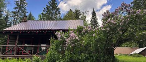 A rustic cabin with a metal roof, surrounded by lush greenery and flowering trees.
