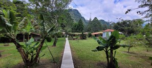 Exterior - Exclusivo Cocora con jacuzzi salento  (Salento)