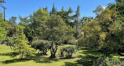 Lovely family summer house at Vourvourou, 5 min from the beach!