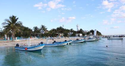 Dolphin Suite 1