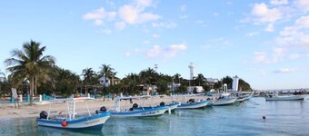 Dolphin Suite 1