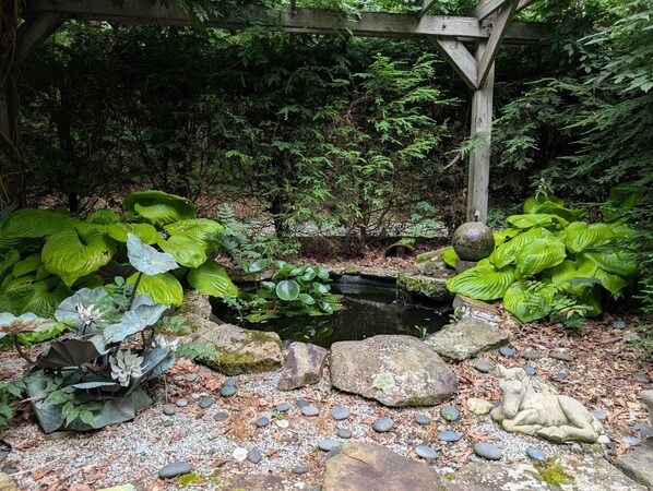 Property grounds - Reconnect with nature in this cozy, dog-friendly mountain retreat with Views (Scaly Mountain)