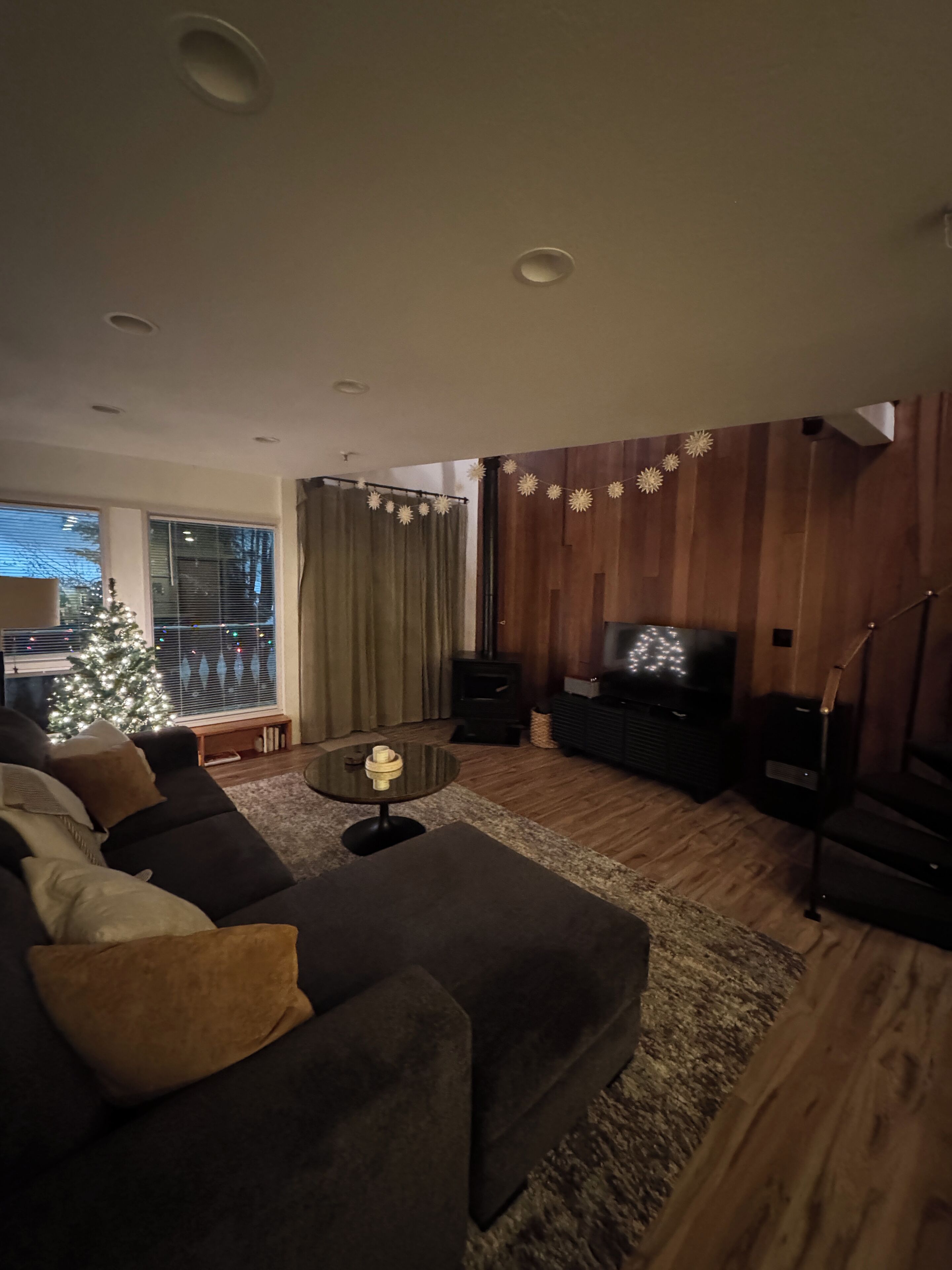 Smart TV, fireplace, DVD player, books