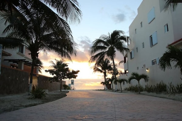 Property grounds - Dolphin Suite 2 (Puerto Morelos)