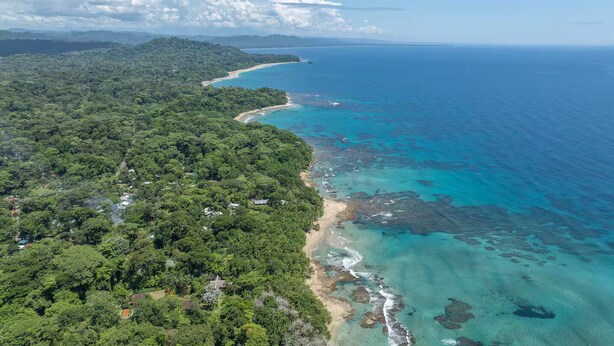 Vue aérienne d’une zone côtière avec une forêt dense, une plage de sable et des eaux d’un bleu limpide.