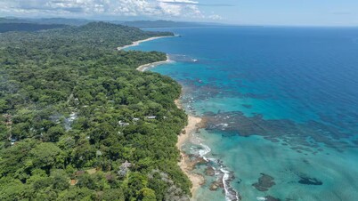 Beachfront Treehouse in Punta Uva - Bedroom w AC