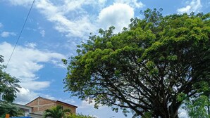 A playground with a slide and climbing structures, a large tree, and a grassy area. - Charming 2-bedroom apartment with WiFi, AC in lovely Guadalajara de Buga (Guadalajara de Buga)
