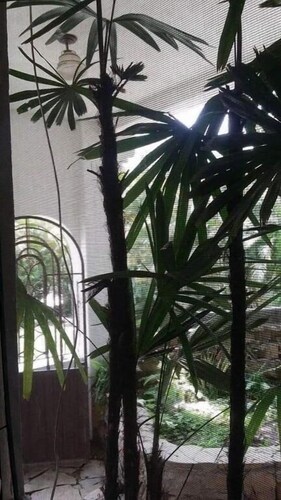 Hotel Raiz de Sierra 