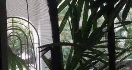 Hotel Raiz de Sierra