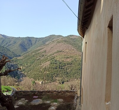 In the Cévennes at the foot of Mont Aigoual, 1km 2 from Valleraugue in the Gard department