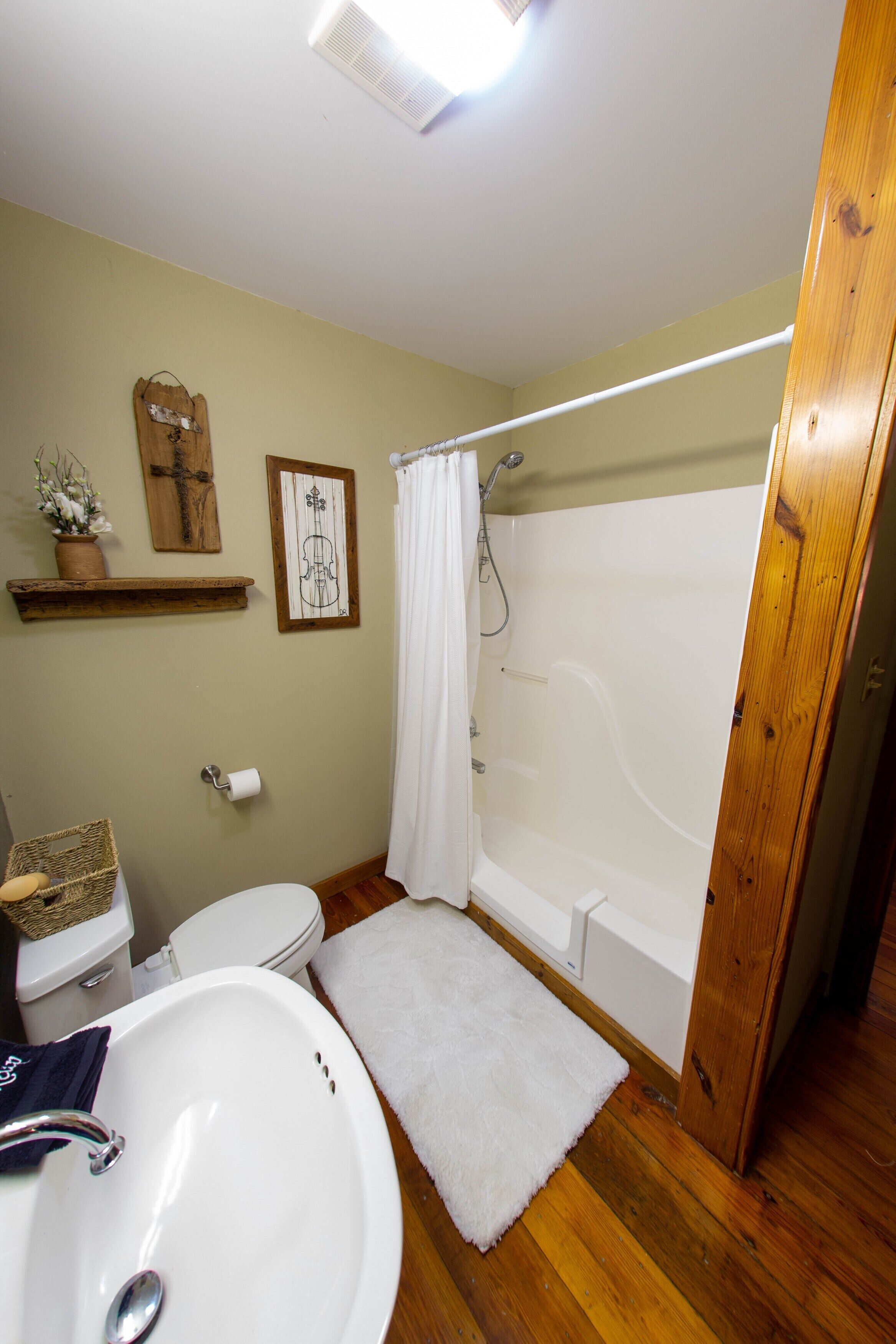 Hair dryer, towels, soap, shampoo