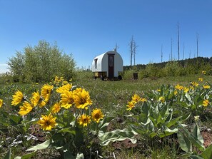 Overnattingsstedets uteområder