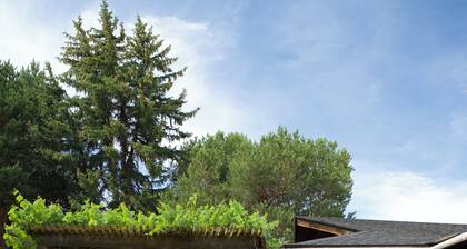 5BR Family Oasis in Boise – Sauna, Spa, Backyard Trampoline & 2-Story Playhouse