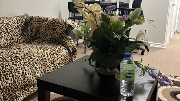 Un salon avec un canapé à motifs léopard, une table basse noire sur laquelle se trouvent un pot de plante et une bouteille d’eau, et un bureau avec un ordinateur et une chaise, le tout sur un fond flou.