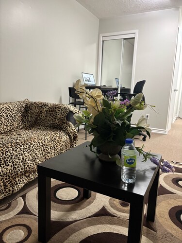 great size apartment near to every thing such as shopping and gym, entertainment