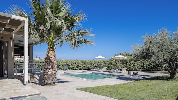 Une piscine avec des chaises longues et des parasols, un palmier et une haie, le tout dans un espace extérieur ensoleillé.