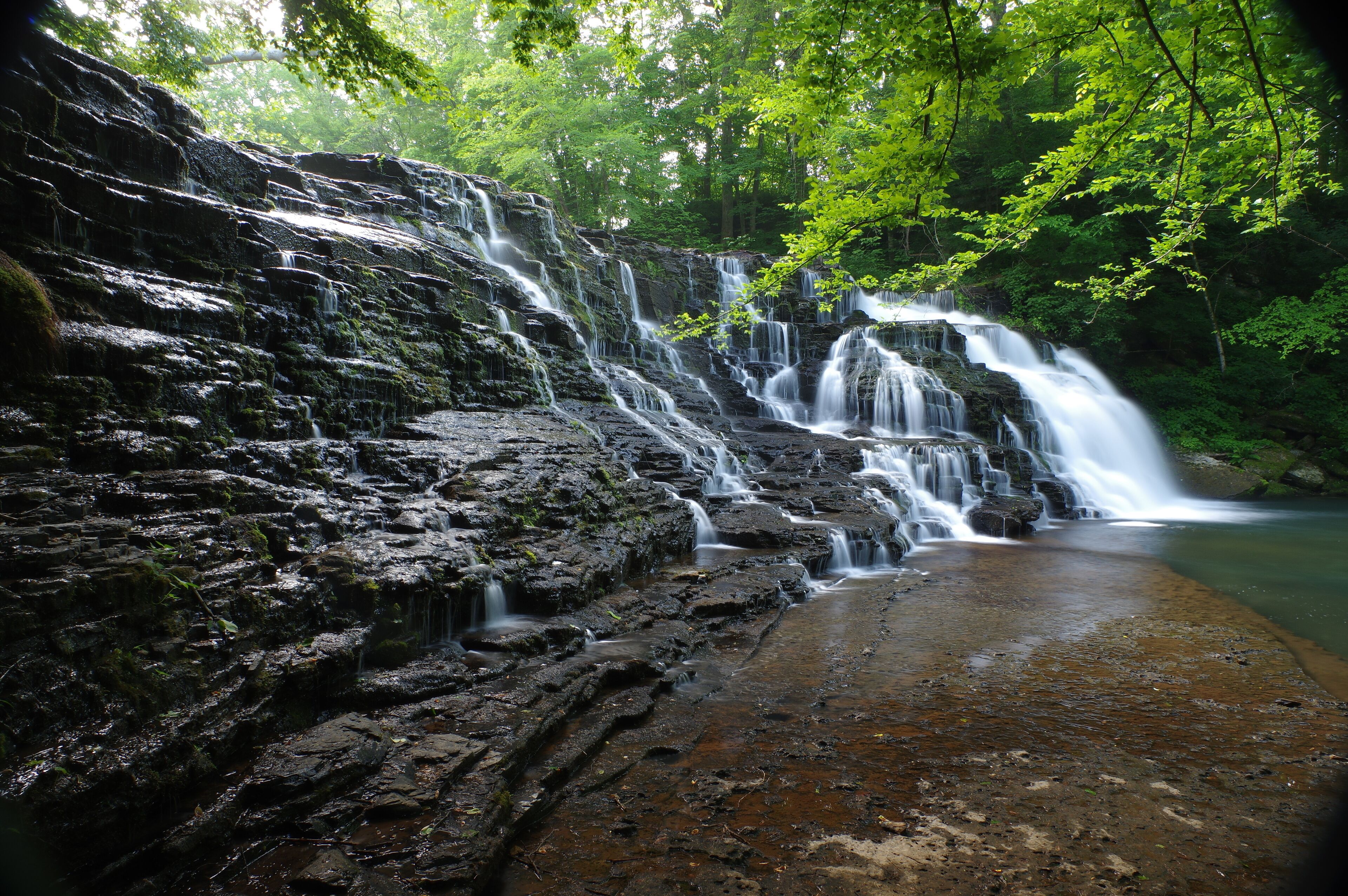 Una cascada natural con múltiples saltos de agua rodeada de abundante vegetación verde.