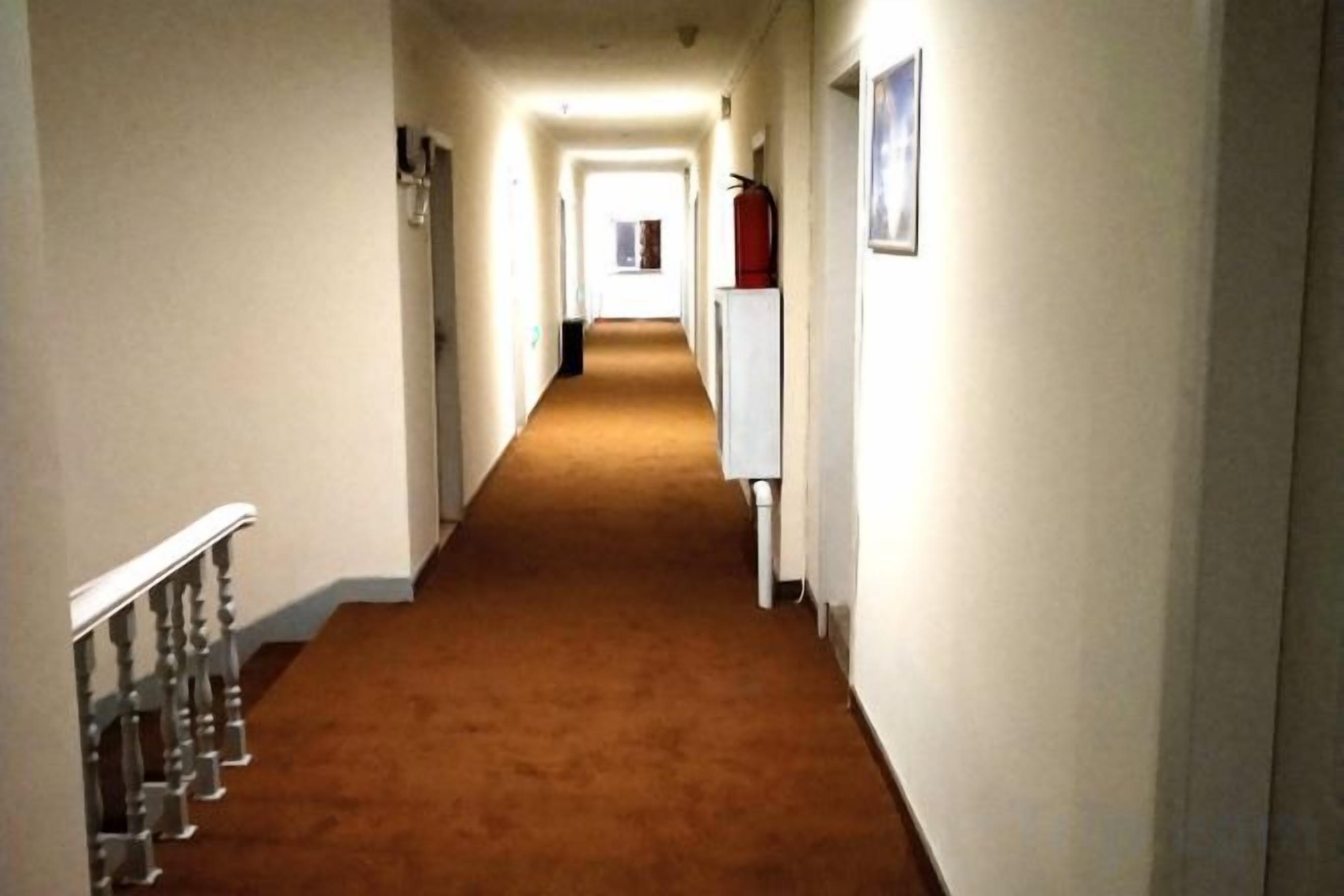 A narrow hallway with a carpeted floor, white walls, and a railing on the left.