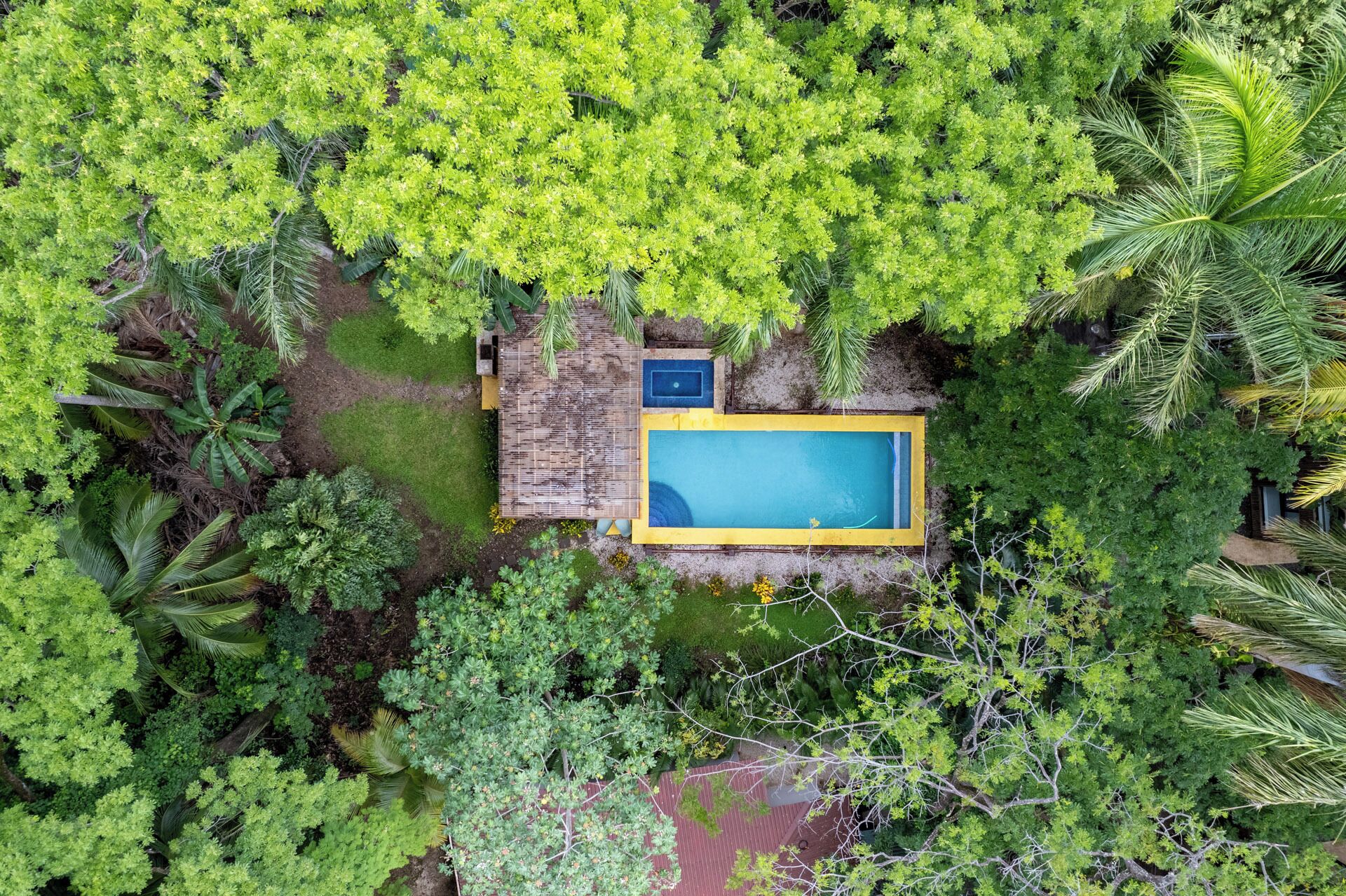 Vue aérienne d’une propriété dotée d’une piscine, entourée d’une végétation luxuriante.