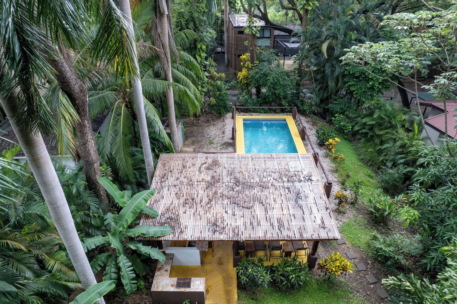 Una pequeña casa con techo de bambú, rodeada de exuberante vegetación y una piscina.