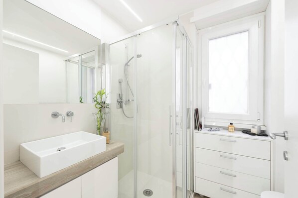 Shower, hair dryer, bidet, towels