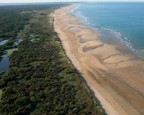 Camastros y toallas de playa