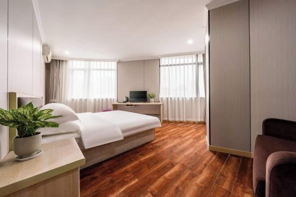 Une chambre d’hôtel avec un lit, un bureau, une télévision et une plante en pot.