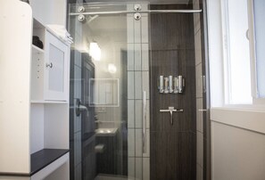 Hair dryer, towels, soap, toilet paper - Comfortable and Convenient! (Mountlake Terrace)
