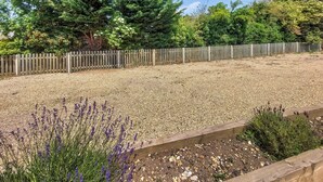 A garden with a gravel path, lavender plants, and a wooden fence. - 1 bedroom accommodation in Walcott (Walcott)