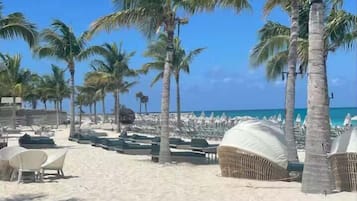 Plage à proximité, chaises longues, serviettes de plage