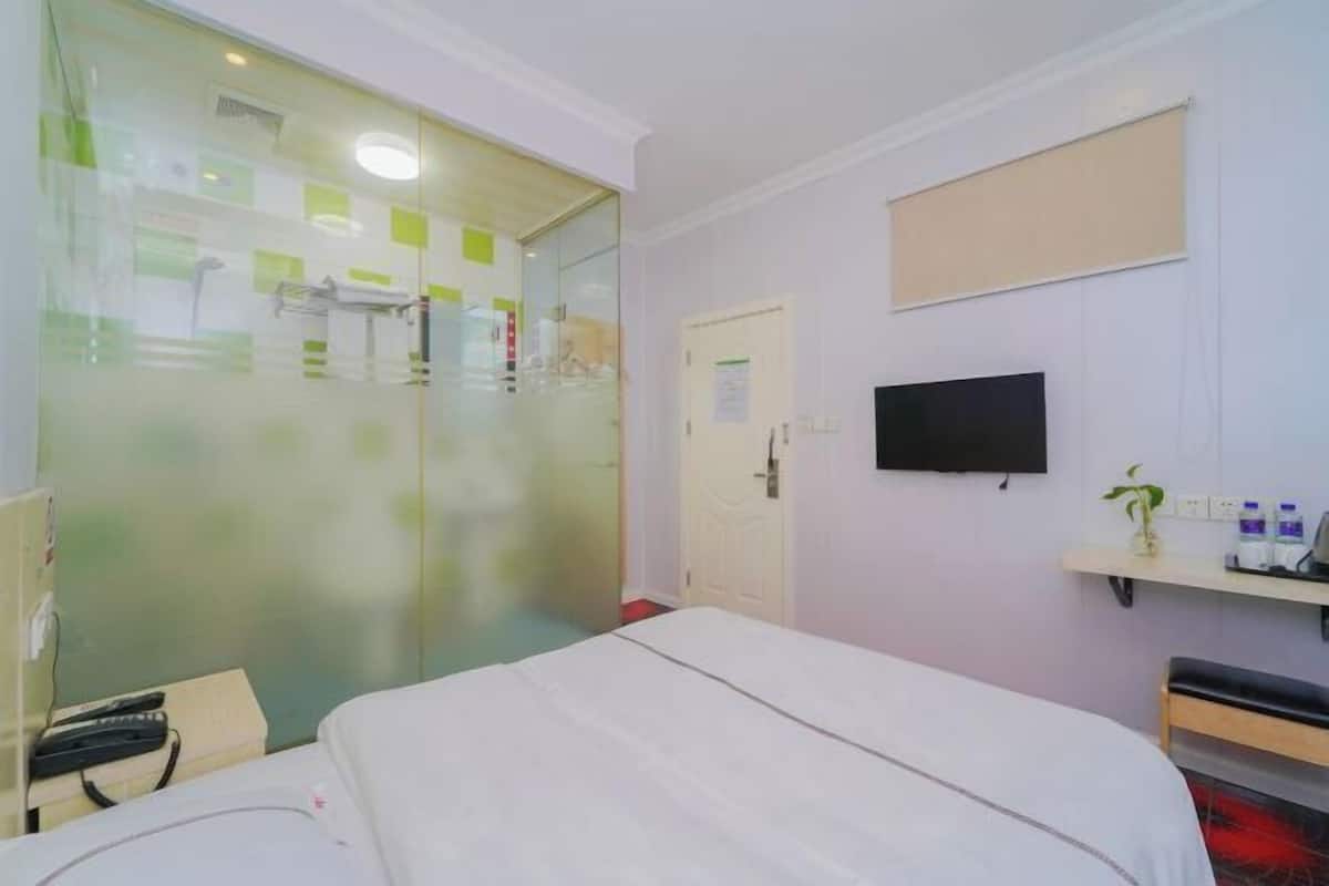 A hotel room with a bed, a TV mounted on the wall, a small bedside table with a plant, and a glass shower enclosure.