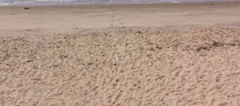 Charming condo efficiency in peaceful Dennisport with WiFi, AC