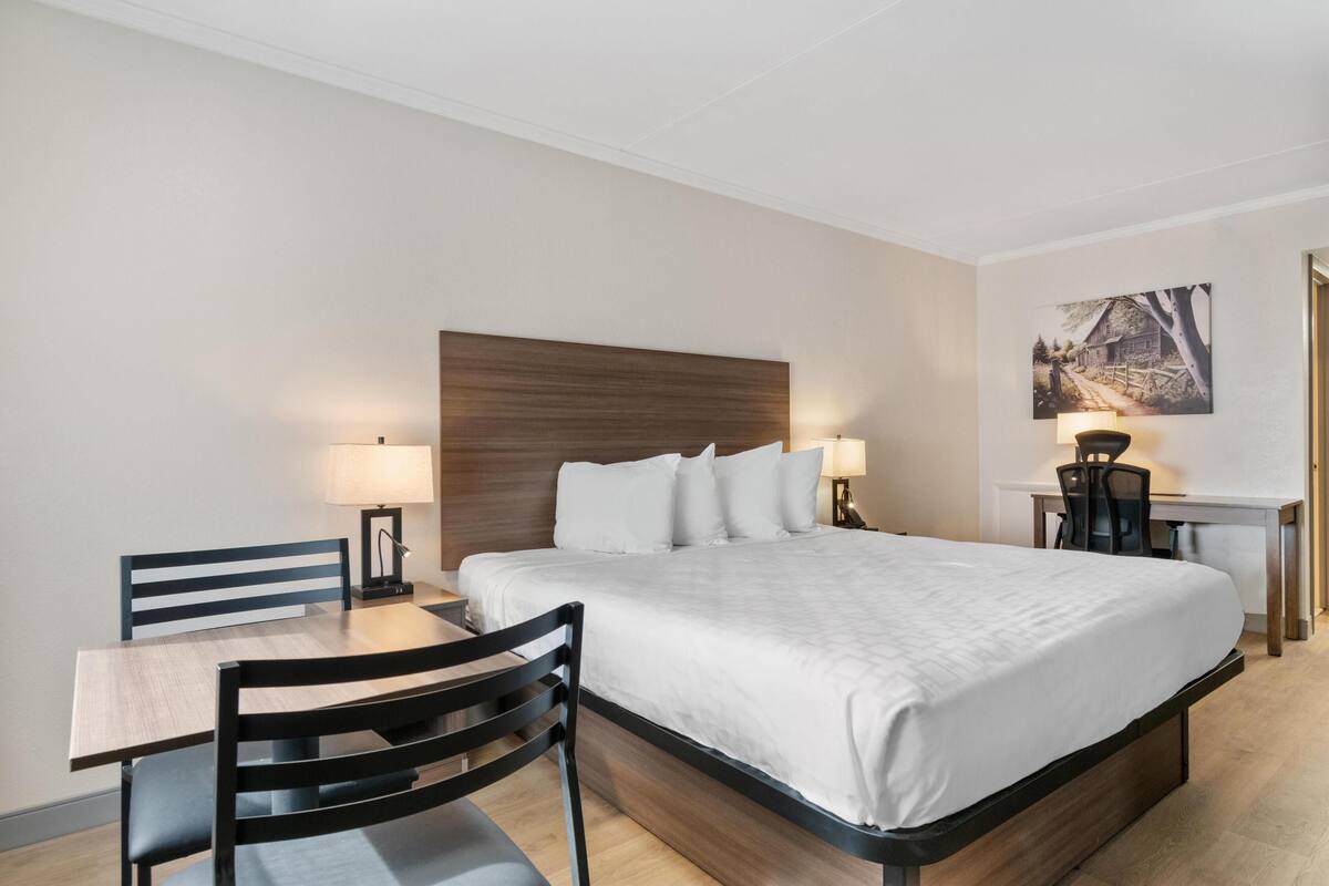 Ein Hotelzimmer mit einem Bett, einem Schreibtisch und Stühlen.
