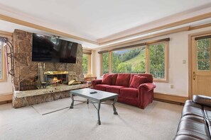 TV, fireplace