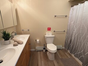 Assecador de cabells, tovalloles, sabó i paper higiènic