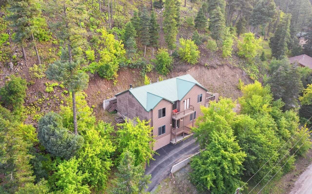 Une maison à deux étages, dotée d’un toit végétalisé et entourée d’une forêt dense.