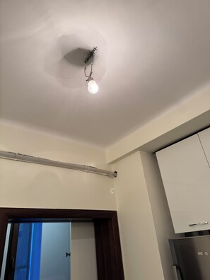 Miscellaneous - Third floor apartment with a shared backyard (Monroe)