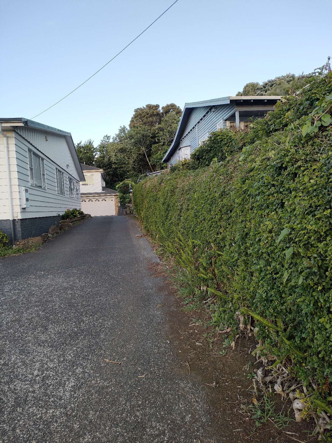 A narrow road flanked by two mobile homes with a dense hedge on one side.