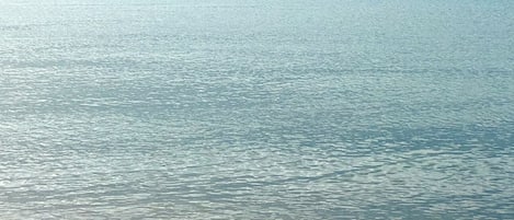 Ligstoelen aan het strand