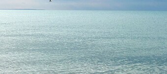 3-bedroom house in charming Dennis minutes to Corporation Beach. Relax & unwind.