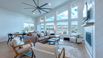 Smart TV, fireplace, books