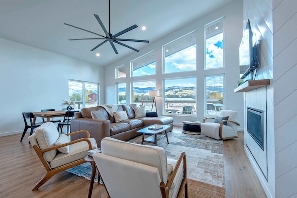 Smart TV, fireplace, books