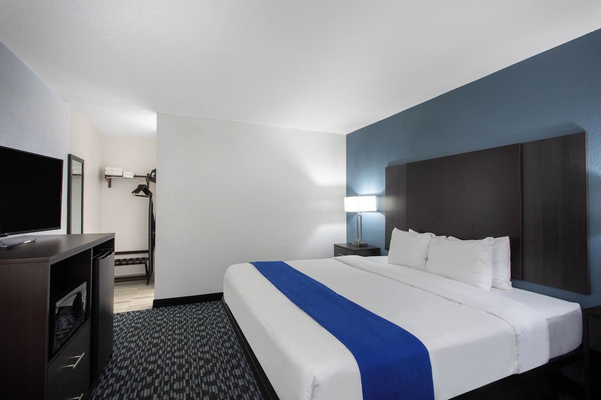 Standard Single Room | 1 bedroom, desk, free WiFi